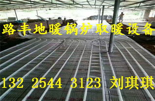 路丰猪舍取暖设备 专为猪舍采暖设计的高效地暖锅炉，现货批发选购指南